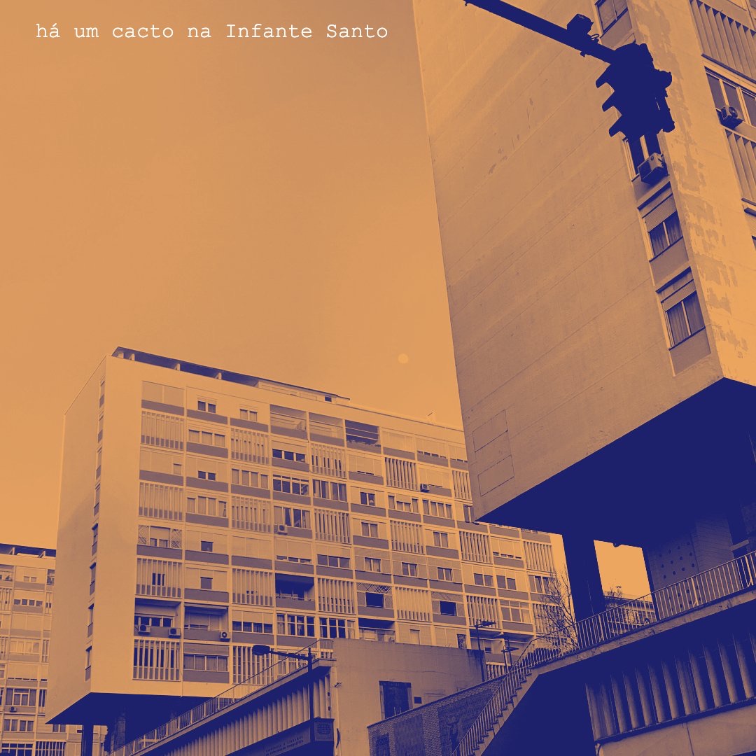 Capa de Há Um Cacto na Infante Santo