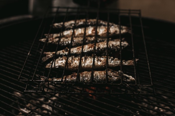 Línguas de Fogo - Junho 2022 — foto 21